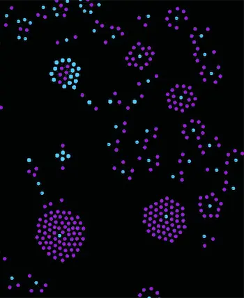 Unsorted node graph