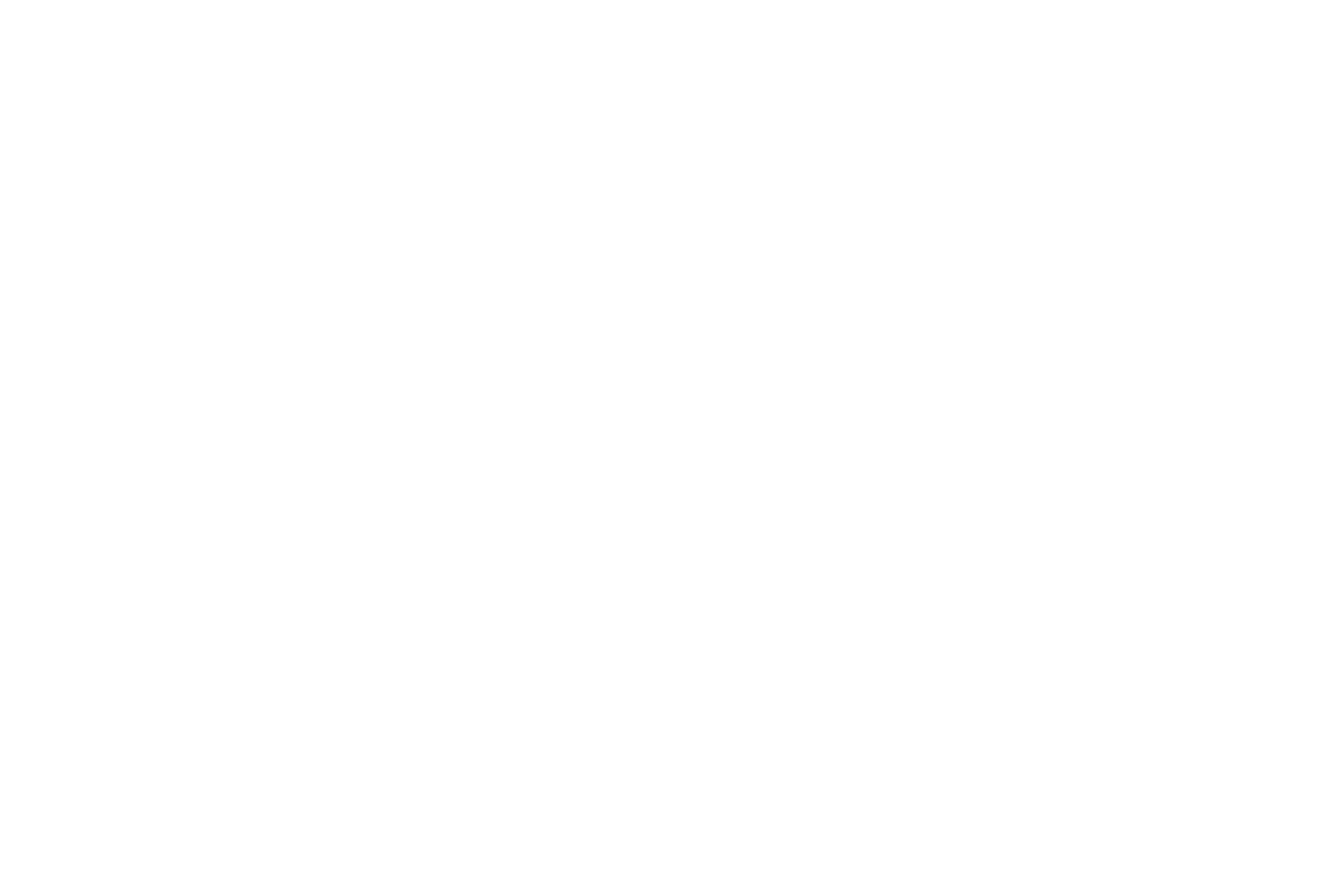 Gudea White Logo